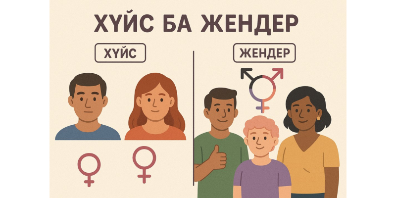 3. Хүйс ба Жендэр видео хичээл 3